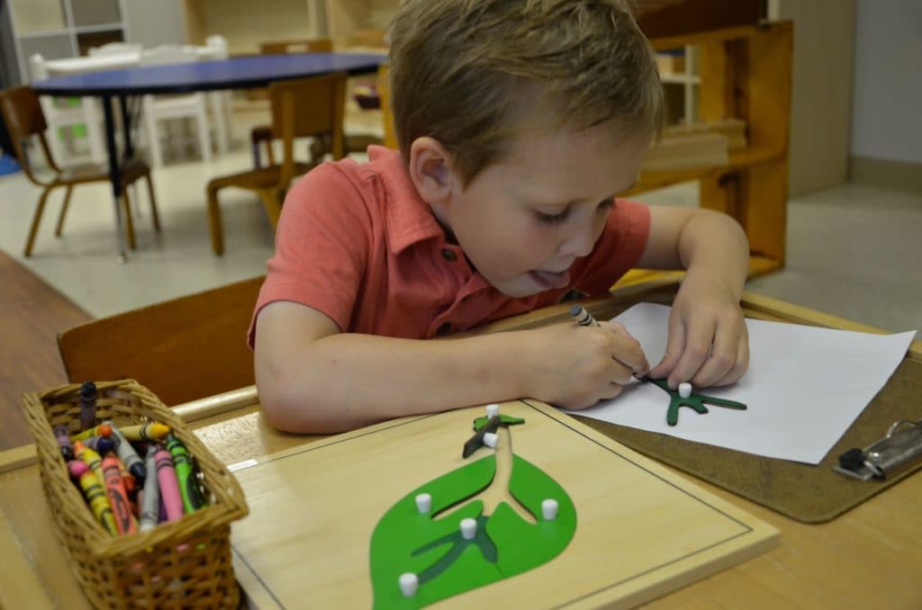 Creativity and Curiosity