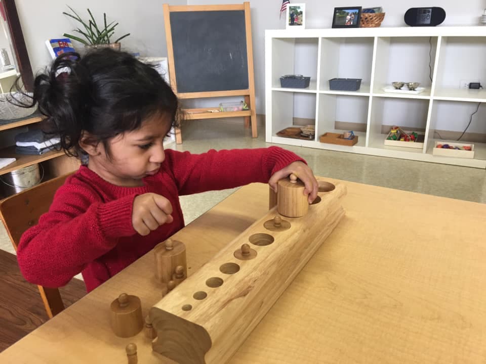 Critical Thinking and Problem Solving